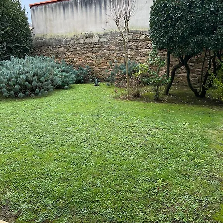 Appartamento Avec Jardin Proche Gare Et *
