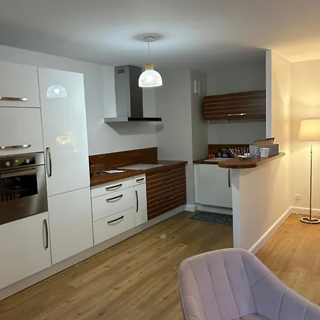 Appartement Avec Jardin Proche Gare Et Les Sables-dʼOlonne