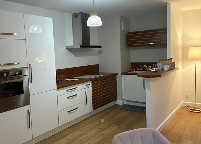 Appartement Avec Jardin Proche Gare Et Les Sables-dʼOlonne